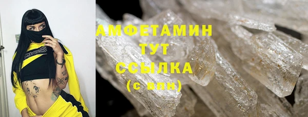 гидра Белокуриха