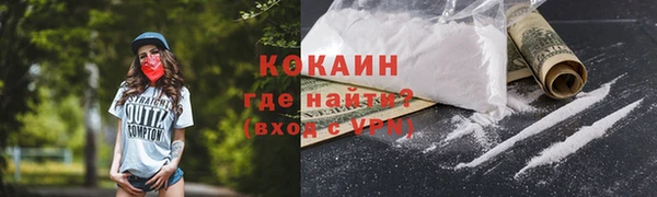 гидра Белокуриха
