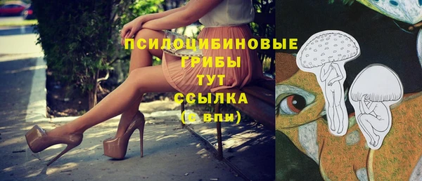 дживик Белоозёрский