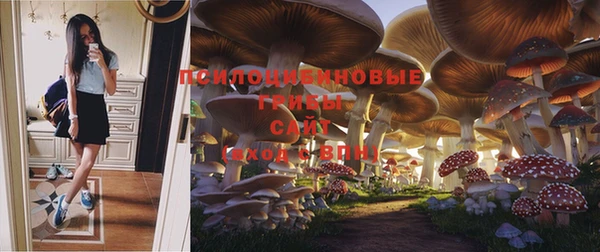 дживик Белоозёрский