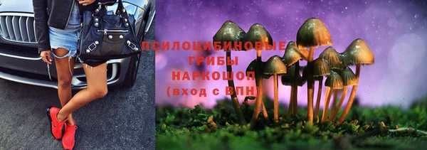 дживик Белоозёрский
