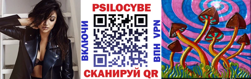 Псилоцибиновые грибы Cubensis  где купить наркоту  Гусев 