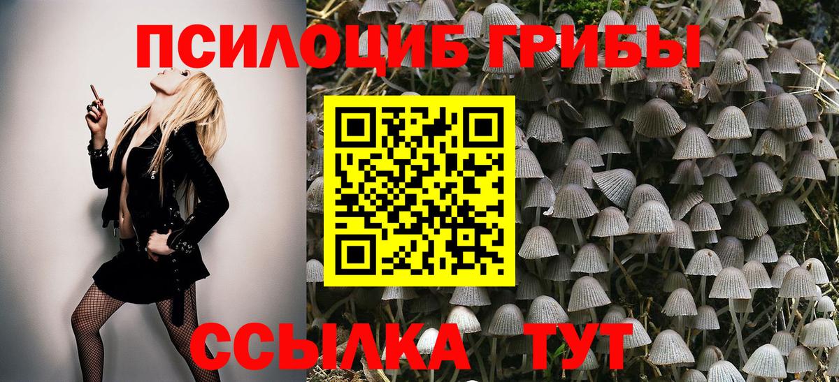 Галлюциногенные грибы мицелий Гусев