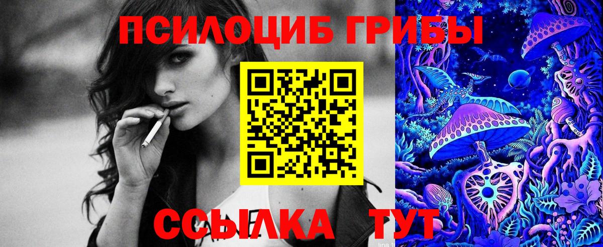 Галлюциногенные грибы мицелий  Вход с VPN  Гусев  Псилоцибиновые грибы прущие грибы 
