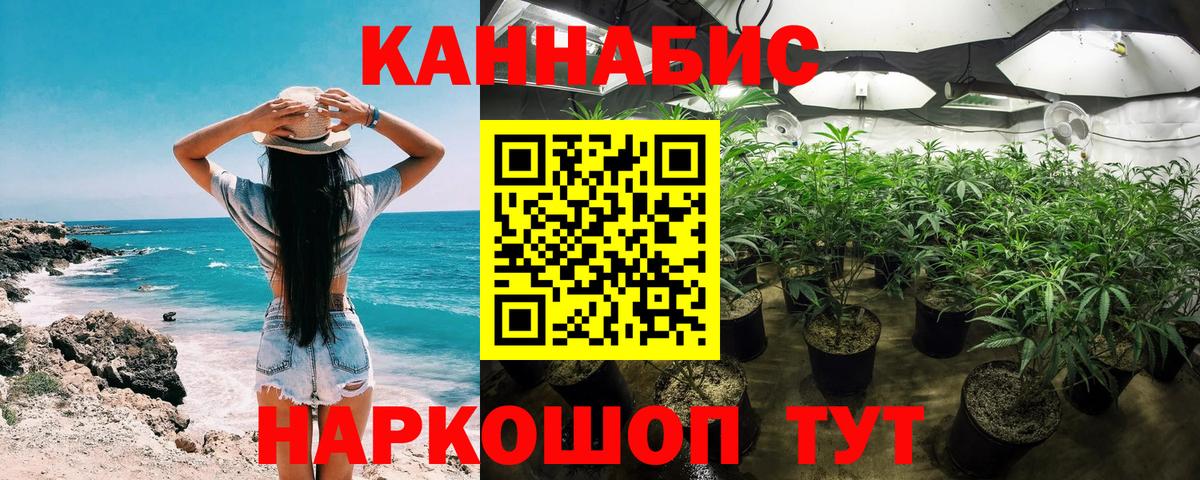 Канабис план Гусев